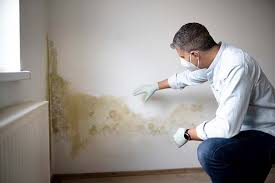 Mold Odor Removal Services